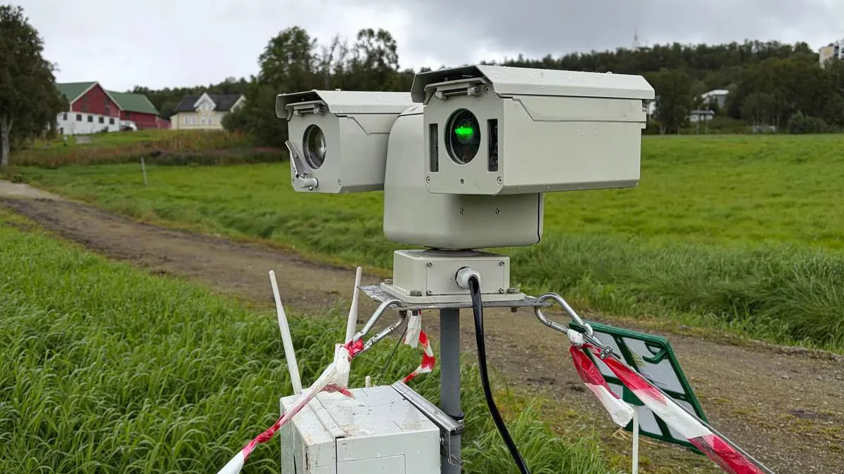 Grågås utfordres av laser og KI i forsøk