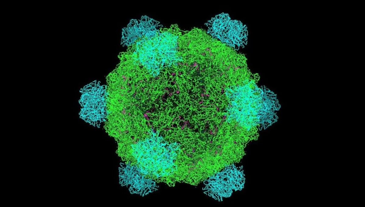 KI-designet virus kan bekjempe antibiotikaresistens