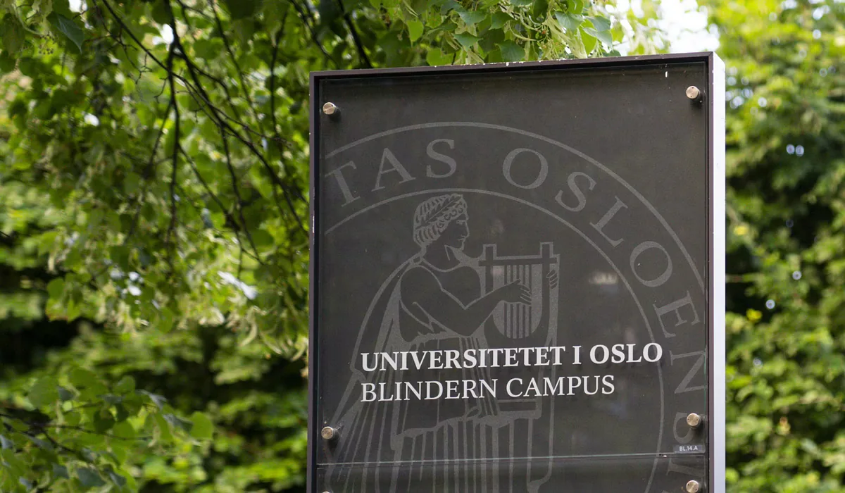 Studieopptak 2026: Høyest Konkurranse på Disse Utdanningene