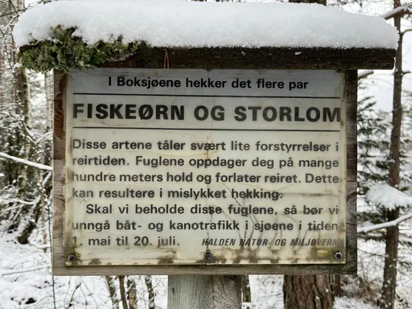 Ankerfjella vindkraft: Naturens verdi utfordres av industriell utvikling