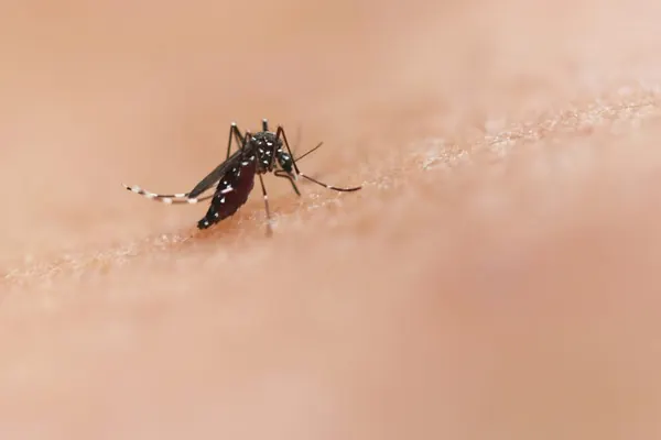 Dødelig virus sprer seg i USA: Helseadvarsel utstedt