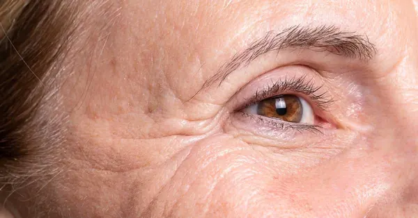 Søskenstudie avdekker genetisk kobling til lengre levetid