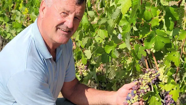 Norsk vinbonde i Italia kjemper mot tørke